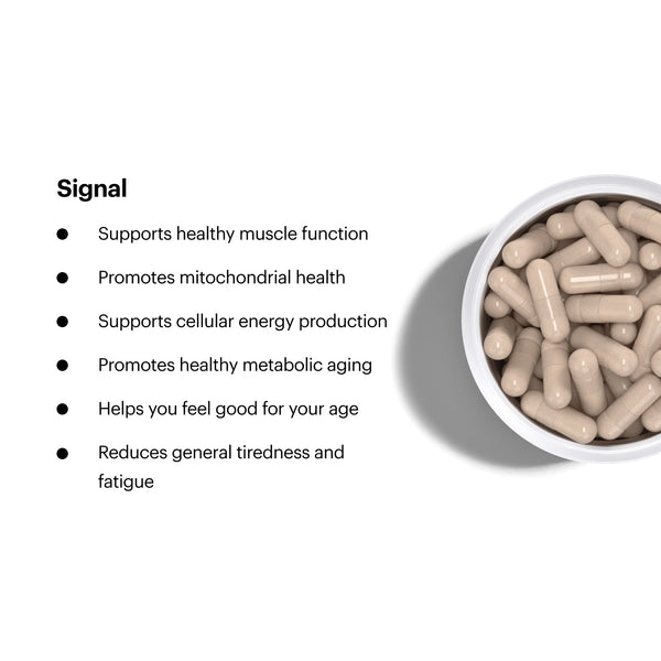 Signal Mitochondrial Support Supplement for Metabolic Aging Elysium